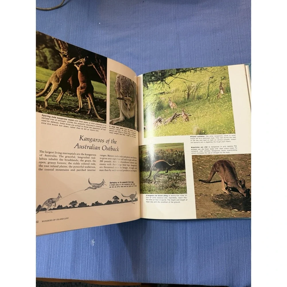 Secrets of the Seas Hardcover Nature Nonfiction Ocean Life Amos Cromie